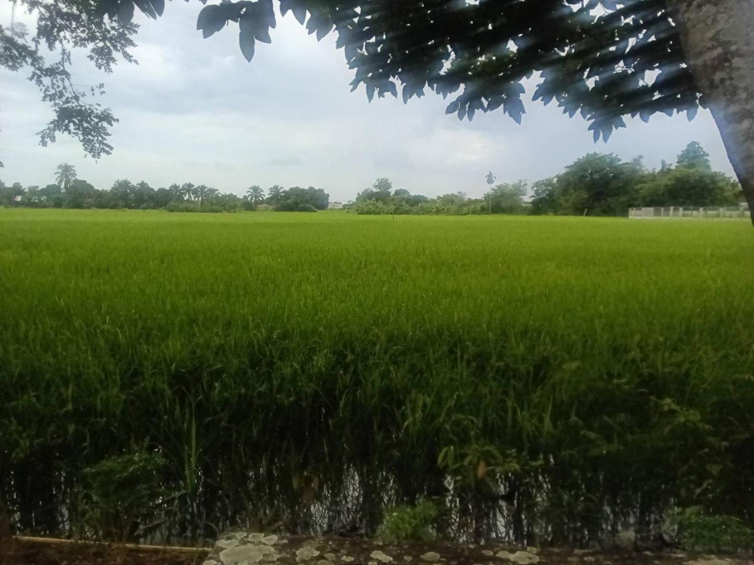 Tung Tong Homestay & Camping Mae Rim Buitenkant foto