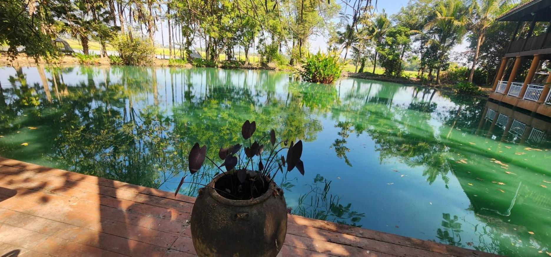 Tung Tong Homestay & Camping Mae Rim Buitenkant foto
