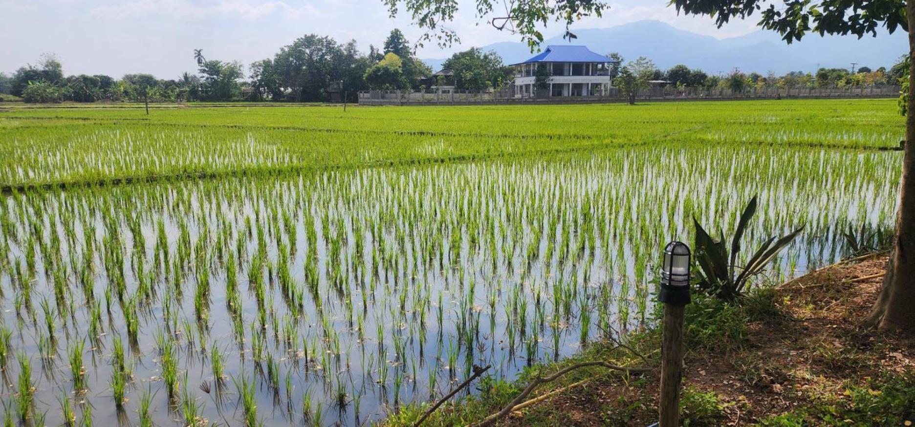 Tung Tong Homestay & Camping Mae Rim Buitenkant foto