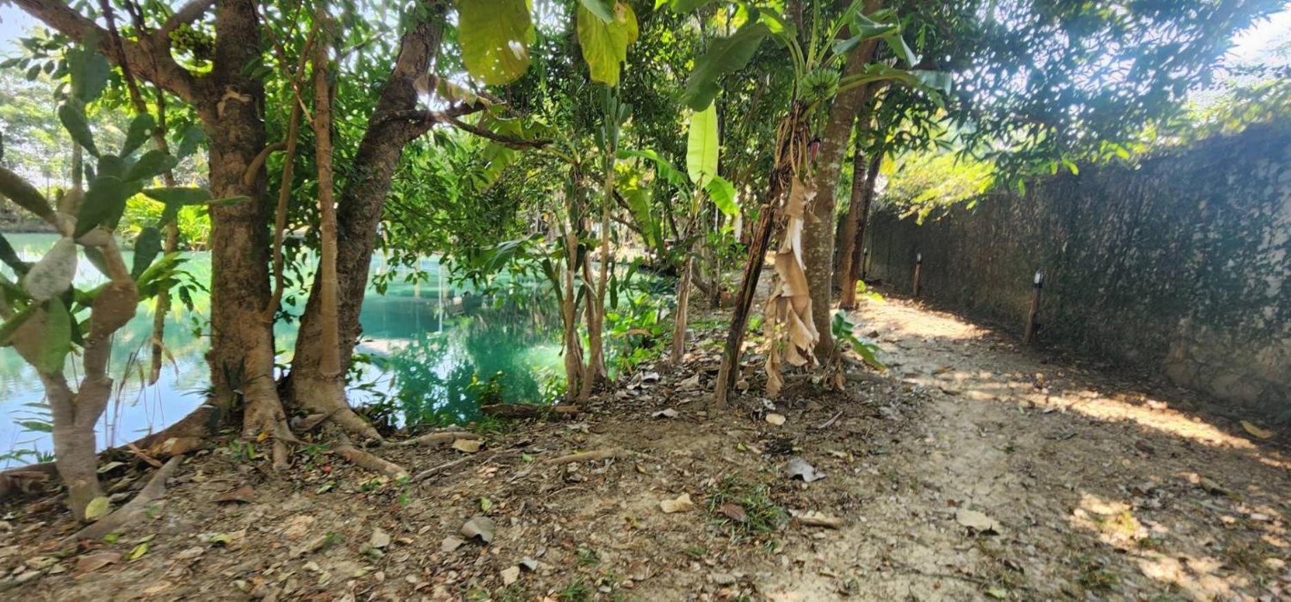Tung Tong Homestay & Camping Mae Rim Buitenkant foto