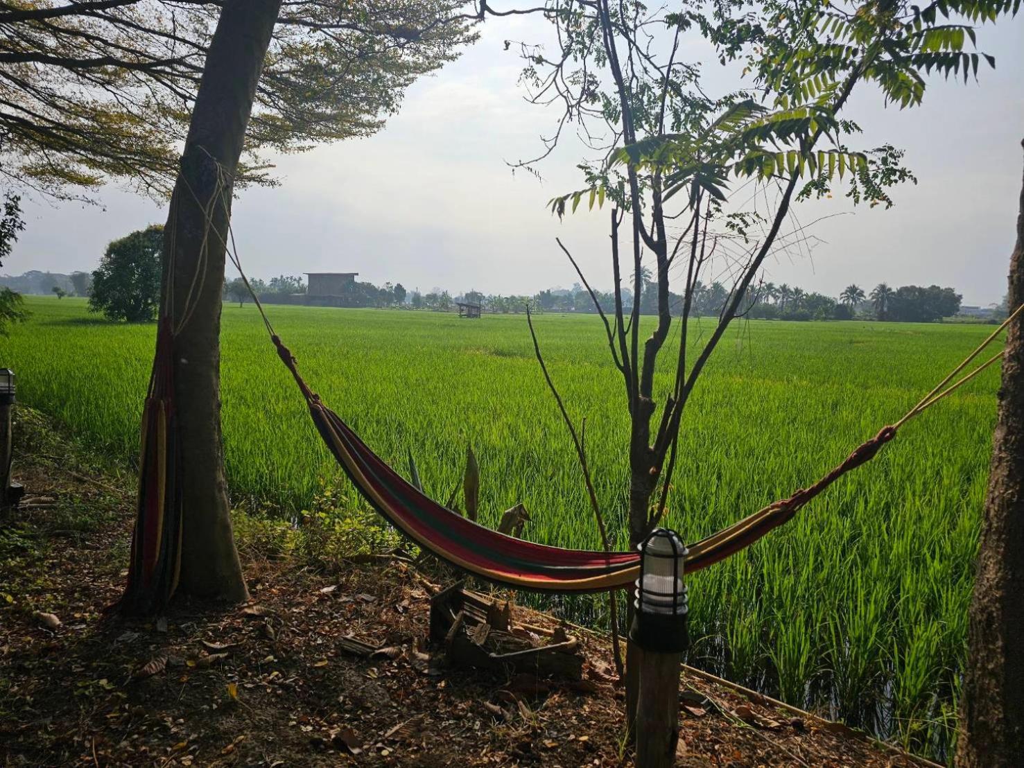 Tung Tong Homestay & Camping Mae Rim Buitenkant foto