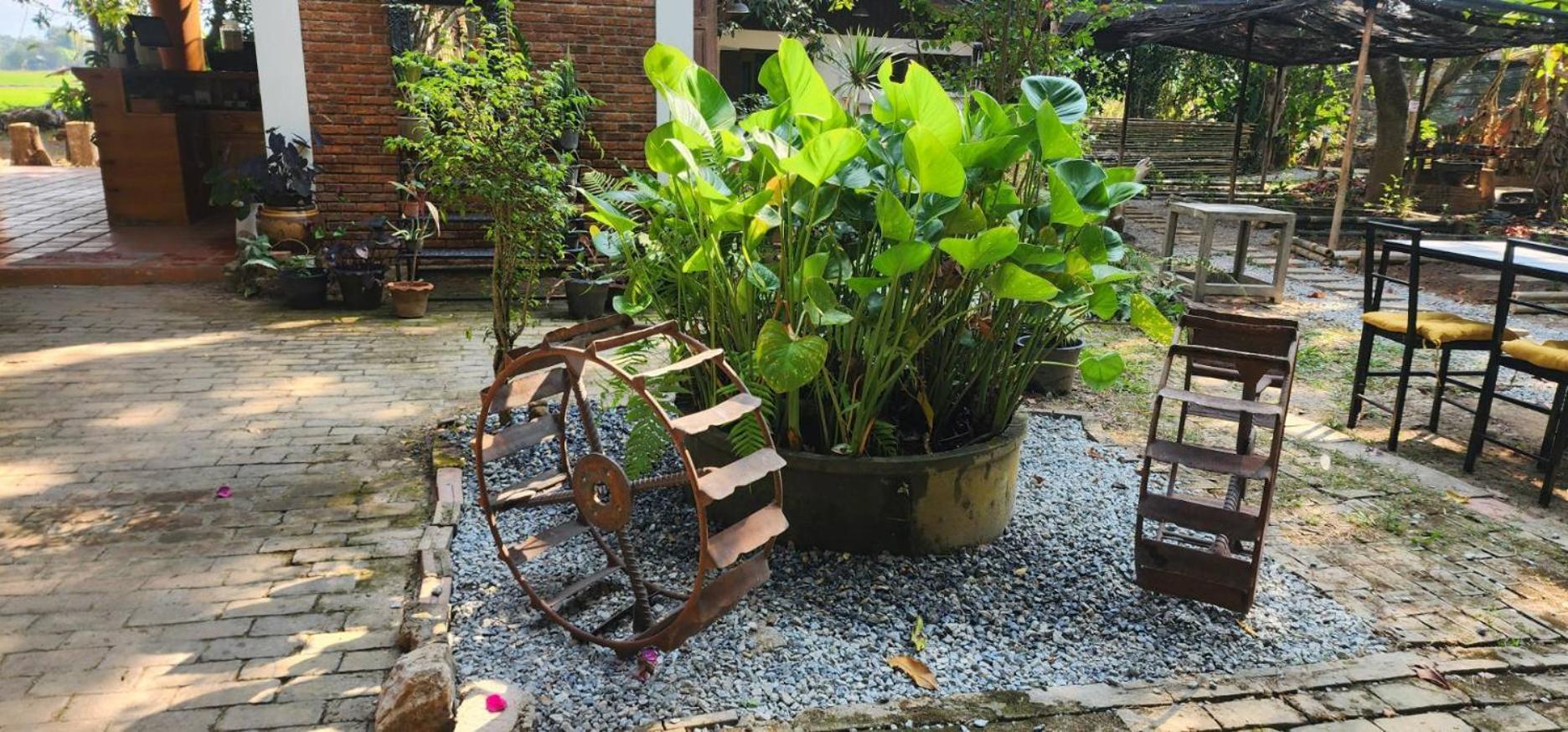 Tung Tong Homestay & Camping Mae Rim Buitenkant foto