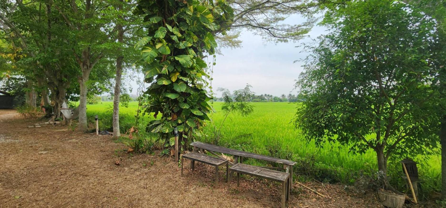 Tung Tong Homestay & Camping Mae Rim Buitenkant foto