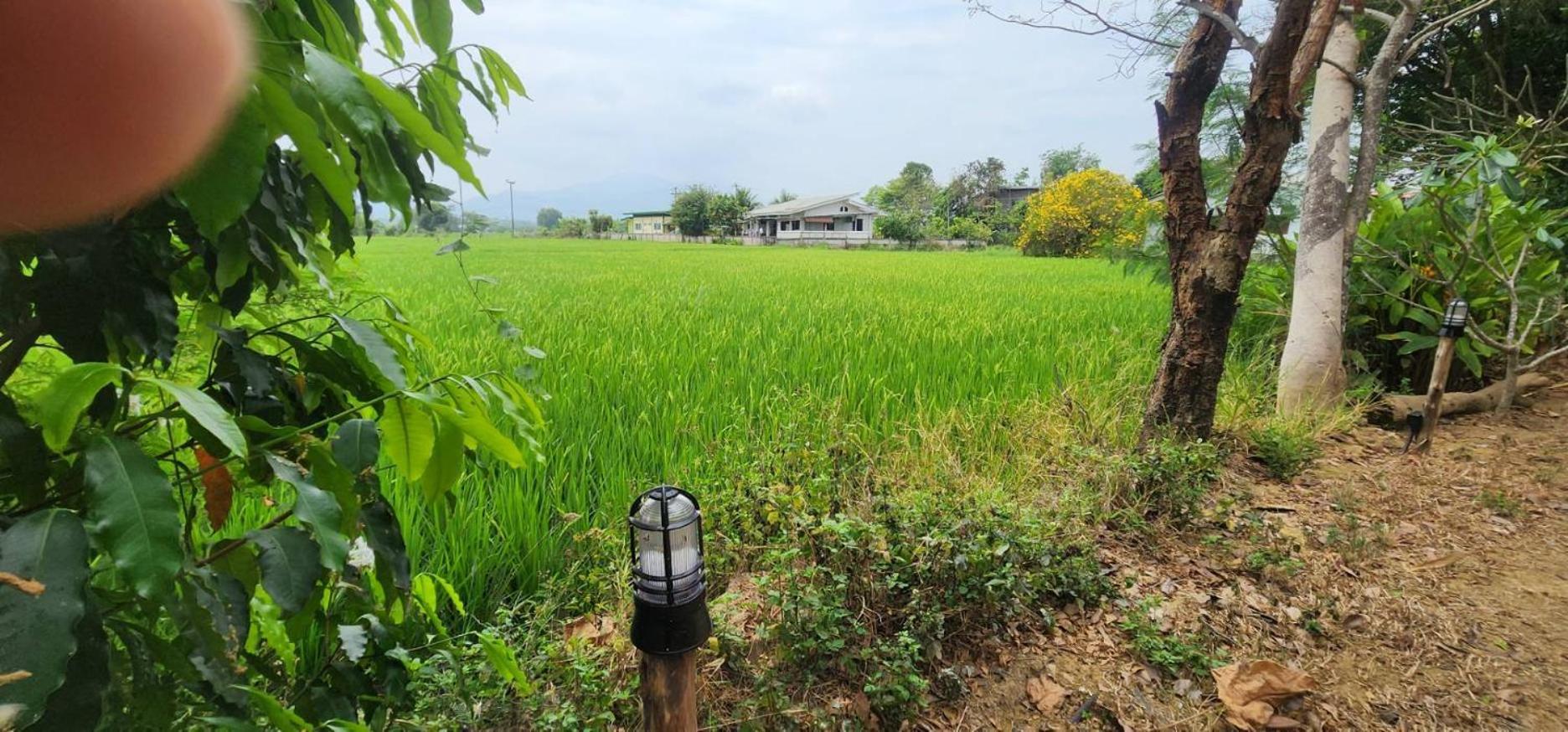 Tung Tong Homestay & Camping Mae Rim Buitenkant foto