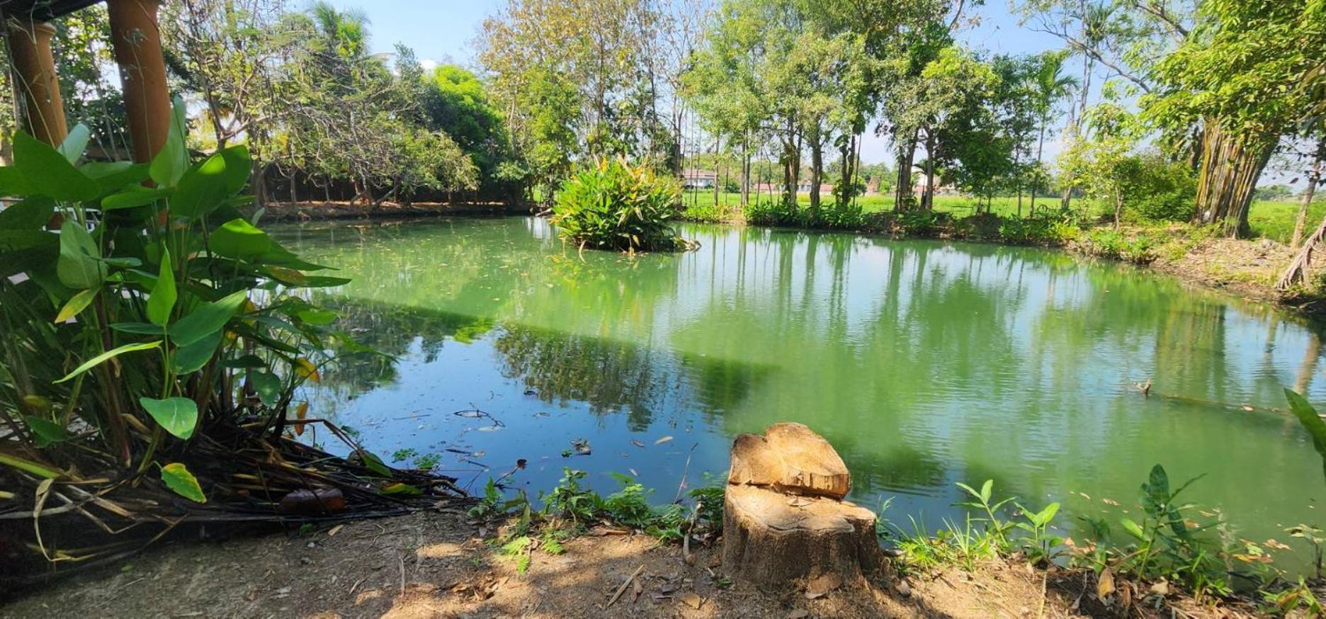 Tung Tong Homestay & Camping Mae Rim Buitenkant foto