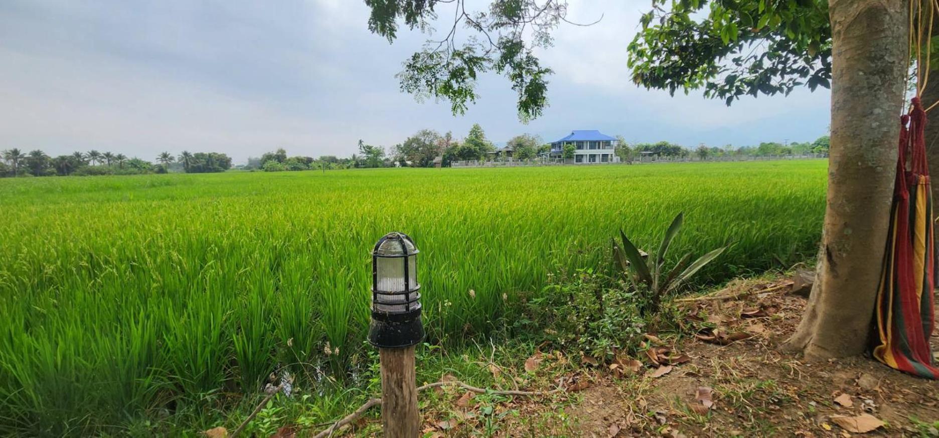 Tung Tong Homestay & Camping Mae Rim Buitenkant foto