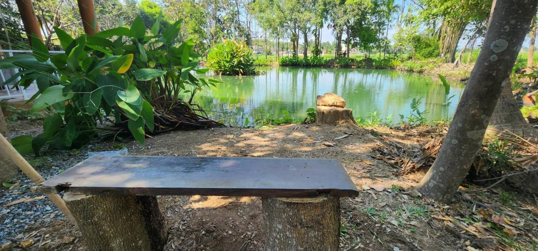 Tung Tong Homestay & Camping Mae Rim Buitenkant foto