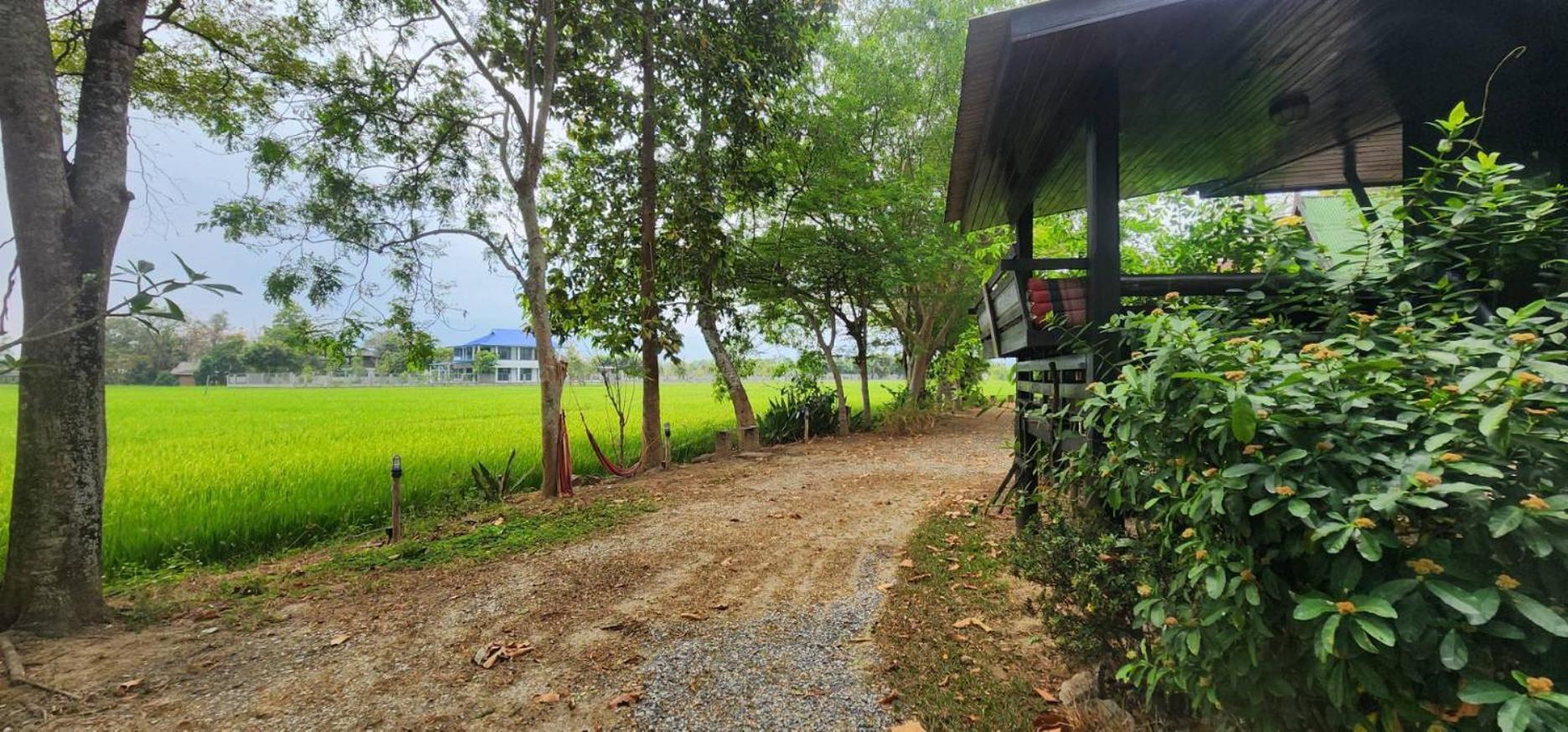 Tung Tong Homestay & Camping Mae Rim Buitenkant foto